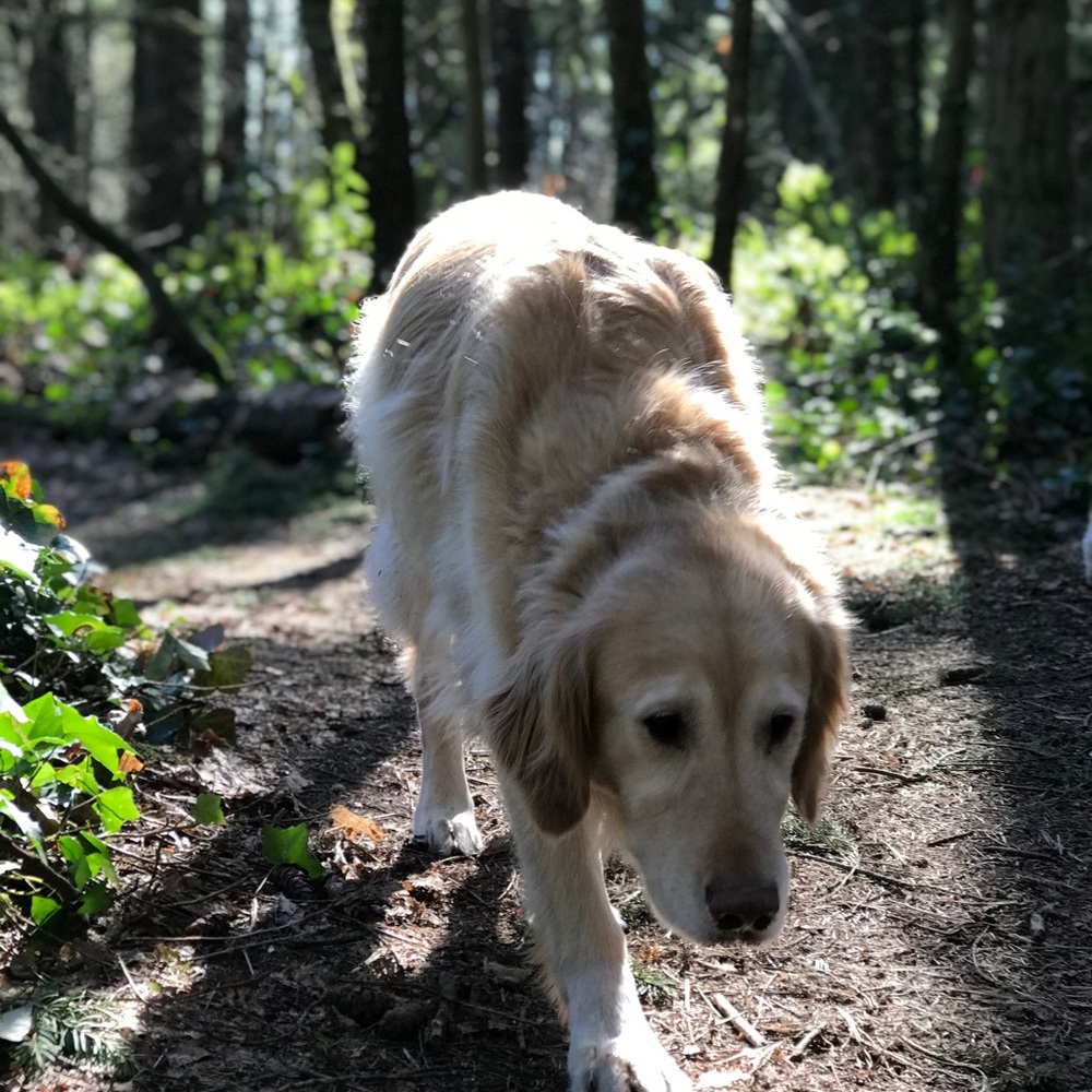 Meet your Posher, Maddie